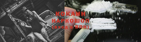 хмурый Новозыбков
