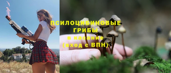 героин Новодвинск