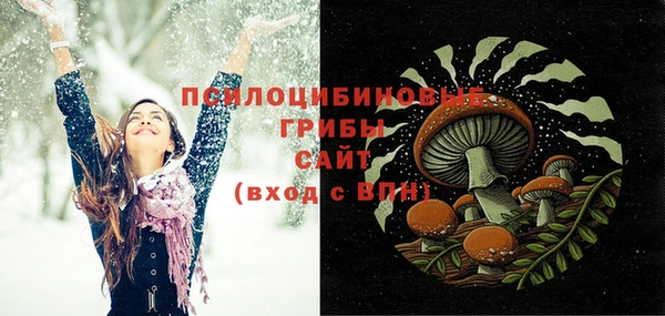 хмурый Новозыбков