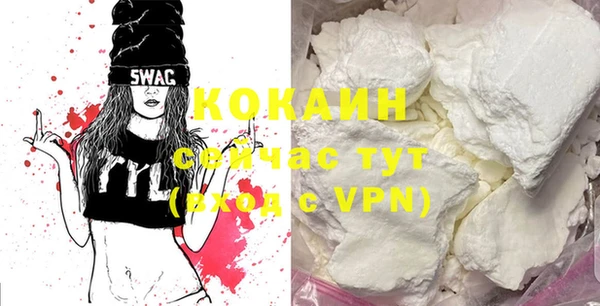 хмурый Новозыбков