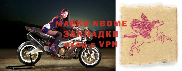 хмурый Новозыбков